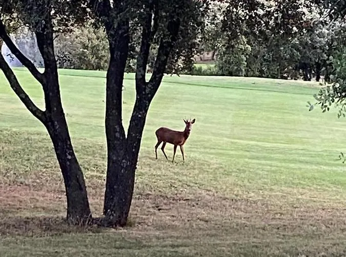 Détente Au Vakantiehuis *