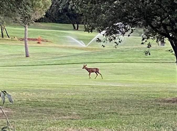 Vakantiehuis Détente Au
